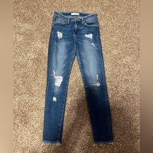 Flying Monkey Ankle Skinny Jeans